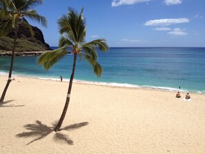 Plage, chaises longues, serviettes de plage
