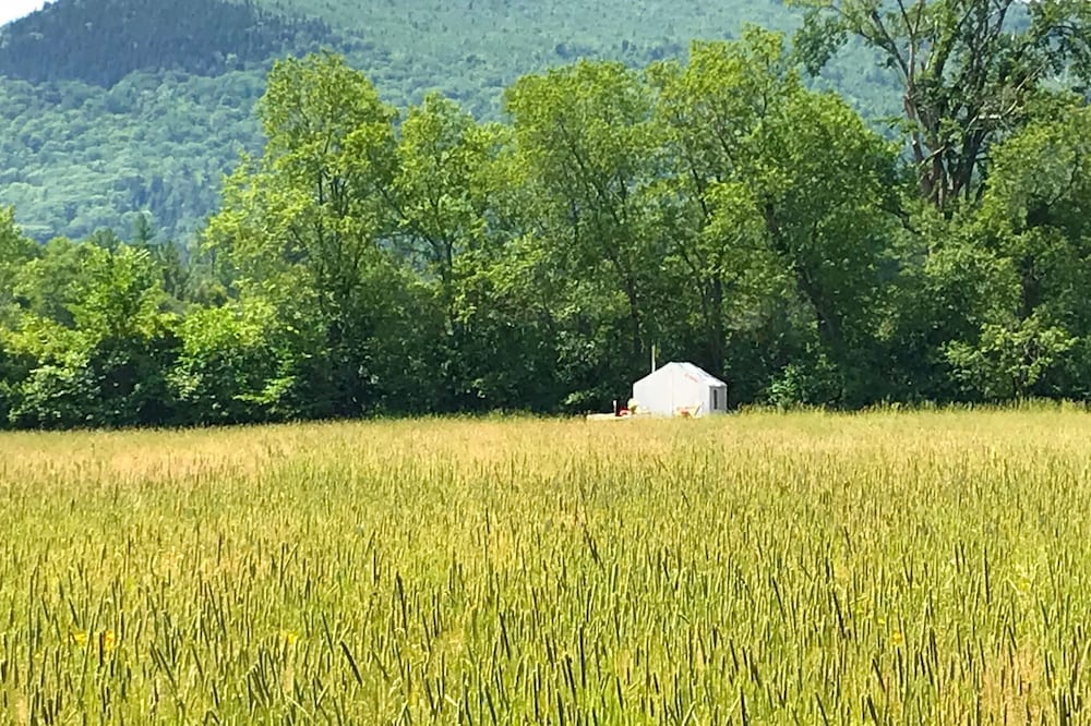 Tentrr Signature Site - Lone Mountain Farm Camping