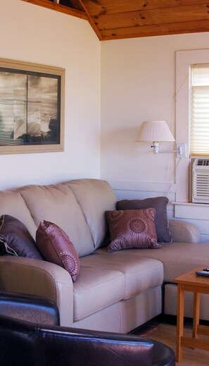 TV, lettore DVD, impianto stereo