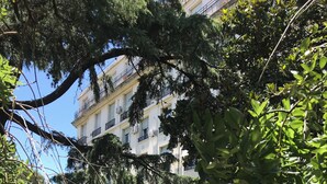 Ein mehrstöckiges Gebäude mit Balkonen, umgeben von gepflegter Bepflanzung und blauem Himmel.