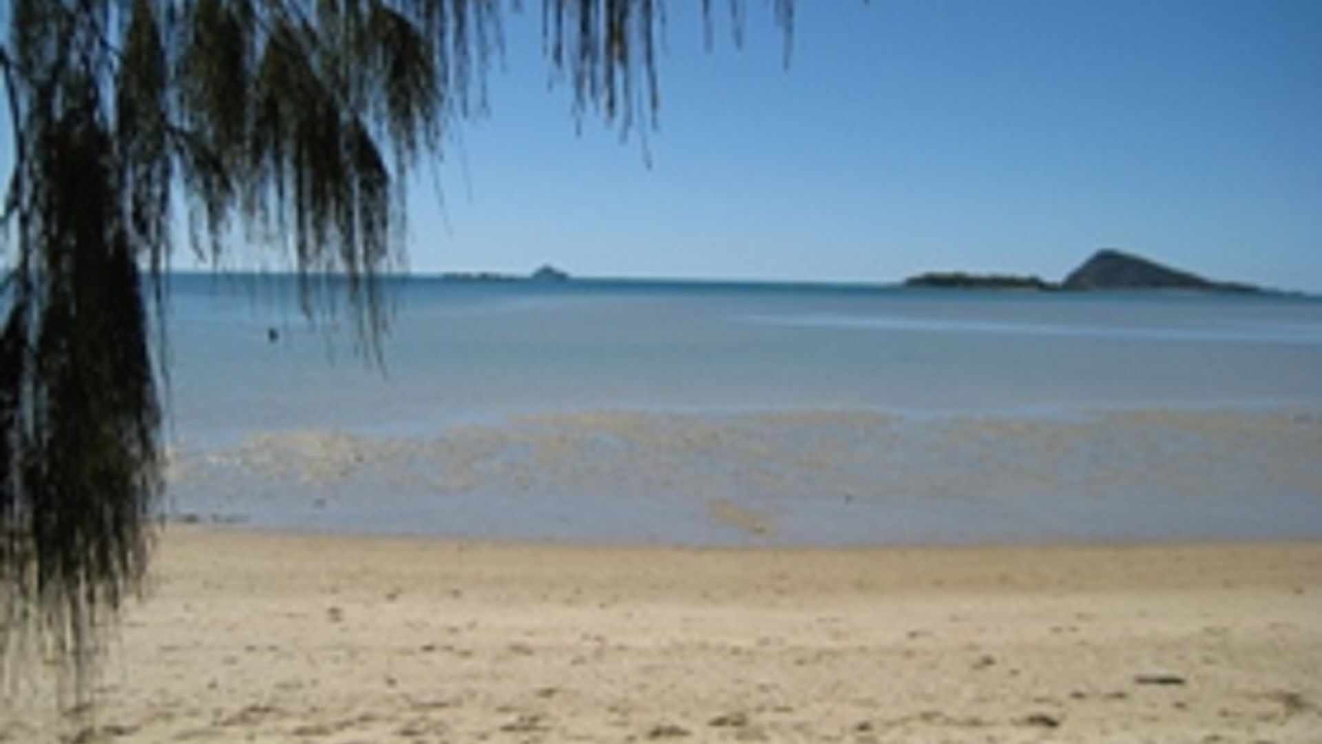 Dingo Beach House - quiet getaway — image 13