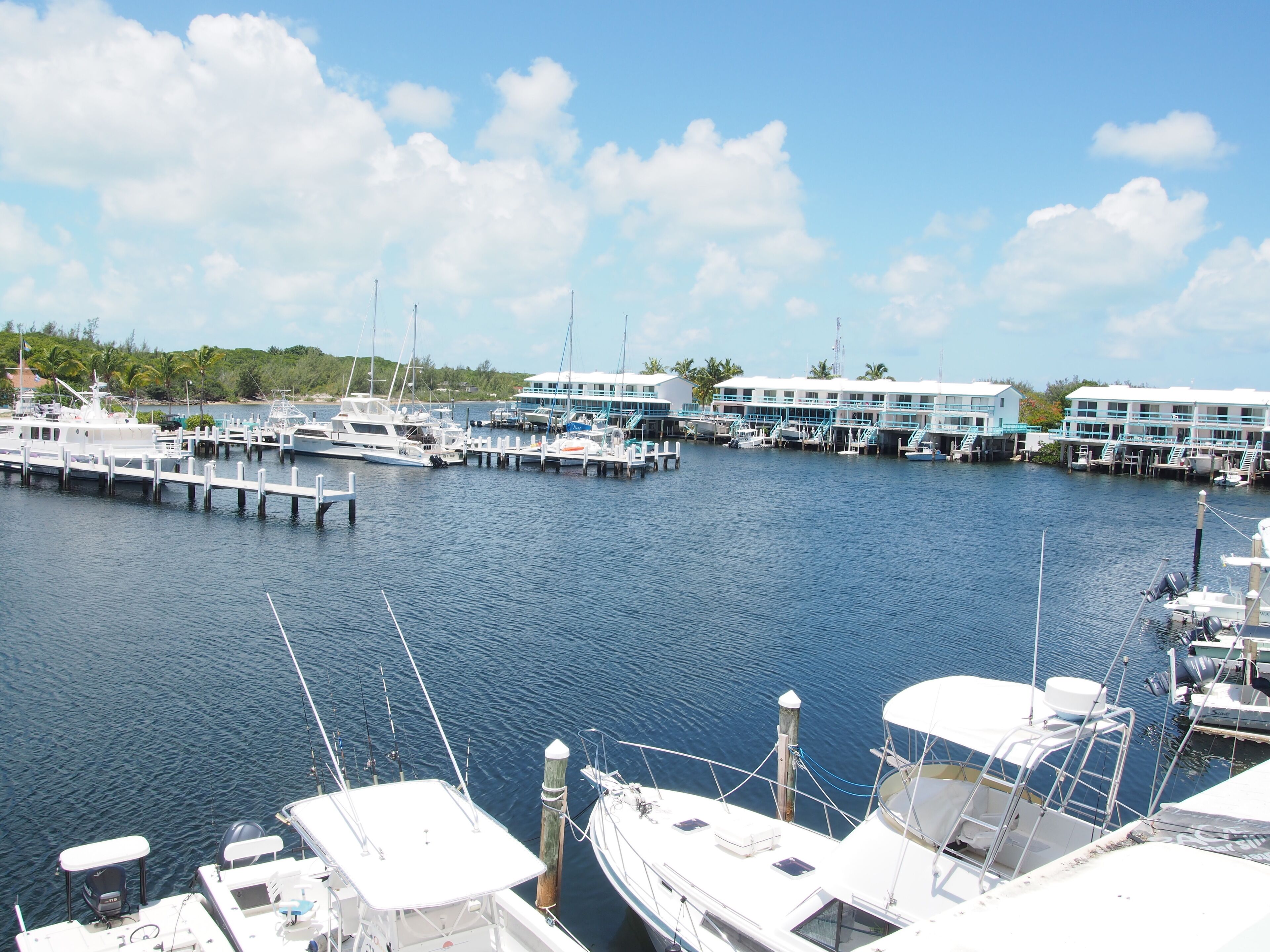 Western marina view from townhouse