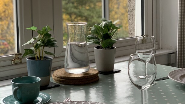 Una mesa con un plato, una copa y dos plantas en macetas junto a una ventana con vistas a árboles.