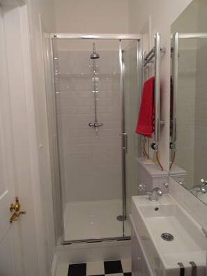 Shower, hair dryer, towels, toilet paper