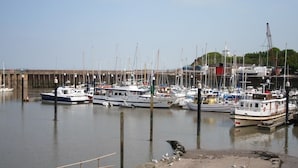 Un puerto deportivo con varias embarcaciones amarradas, un muelle al fondo y un ave en la orilla.