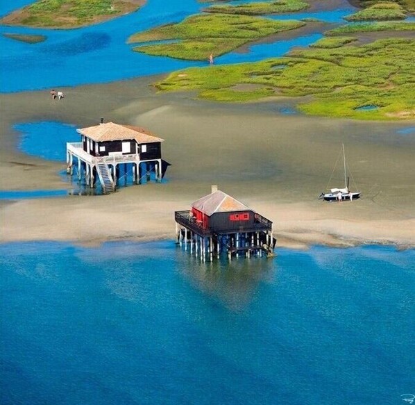 Beach nearby, sun loungers - At the heart of the Bassin d'Arcachon at LANTON near ANDERNOS (Lanton)