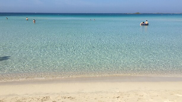 Une plage à l’eau turquoise et limpide, bordée d’un rivage sablonneux.