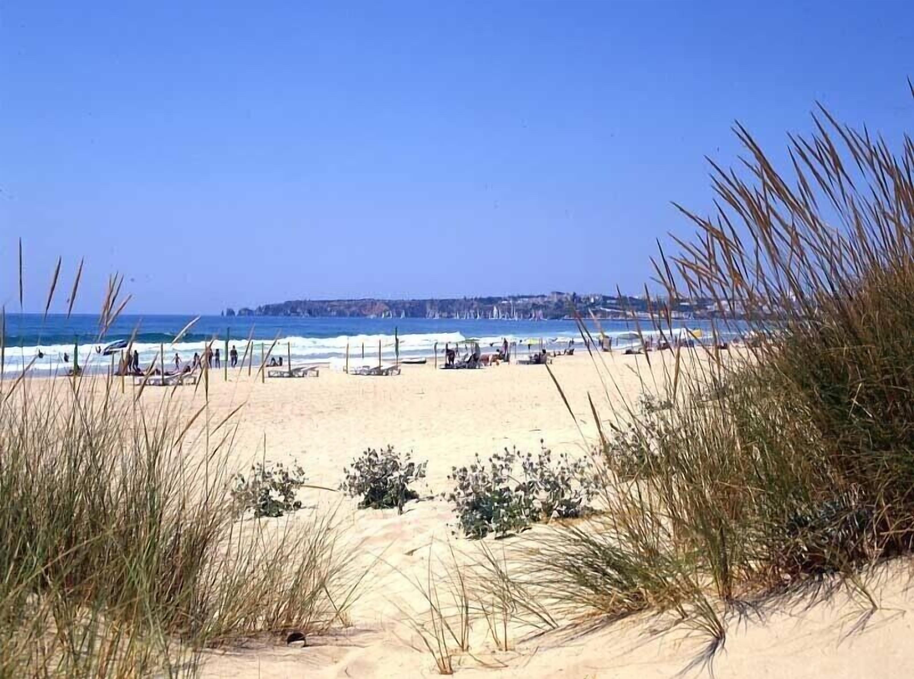 Plage à proximité, chaises longues, serviettes de plage