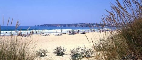 Plage à proximité, chaises longues, serviettes de plage