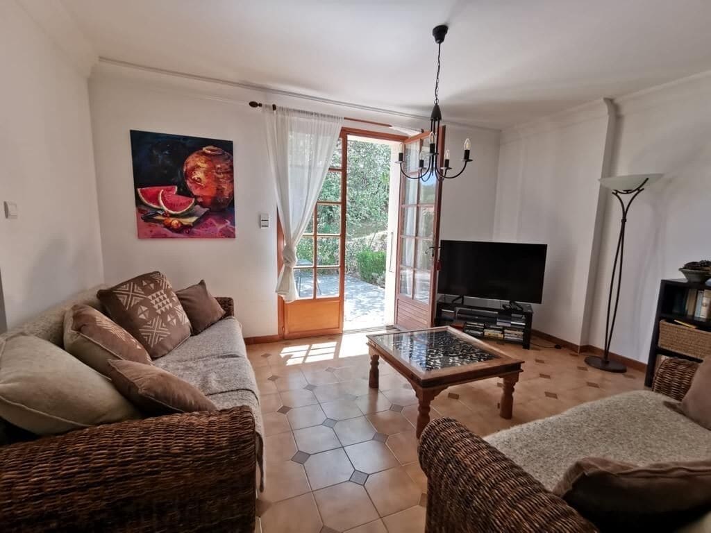 TV connectée, cheminée, lecteur de DVD, table de tennis de table