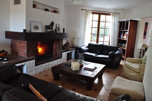 Smart-TV, Kamin, DVD-Player, Tischtennisplatte