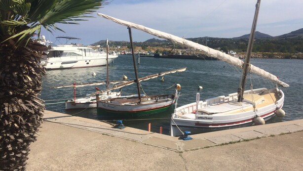 A marina with several boats docked, a palm tree, and a mountainous landscape in the background. - Stylish villa, 13m private pool, tranquil garden, close to village amenities (Maureillas)