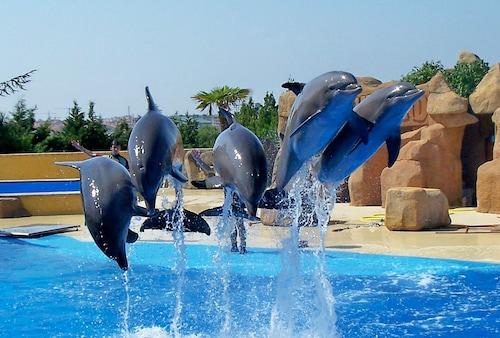 Villa EL Olivo,Costa Brava, Private Pool,  close to Beaches, BLANESCOSTA BRAVA