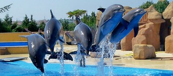 TILBUD AUGUST! Familiens hus "El Olivo- Costa Brava" med basseng, WIFI