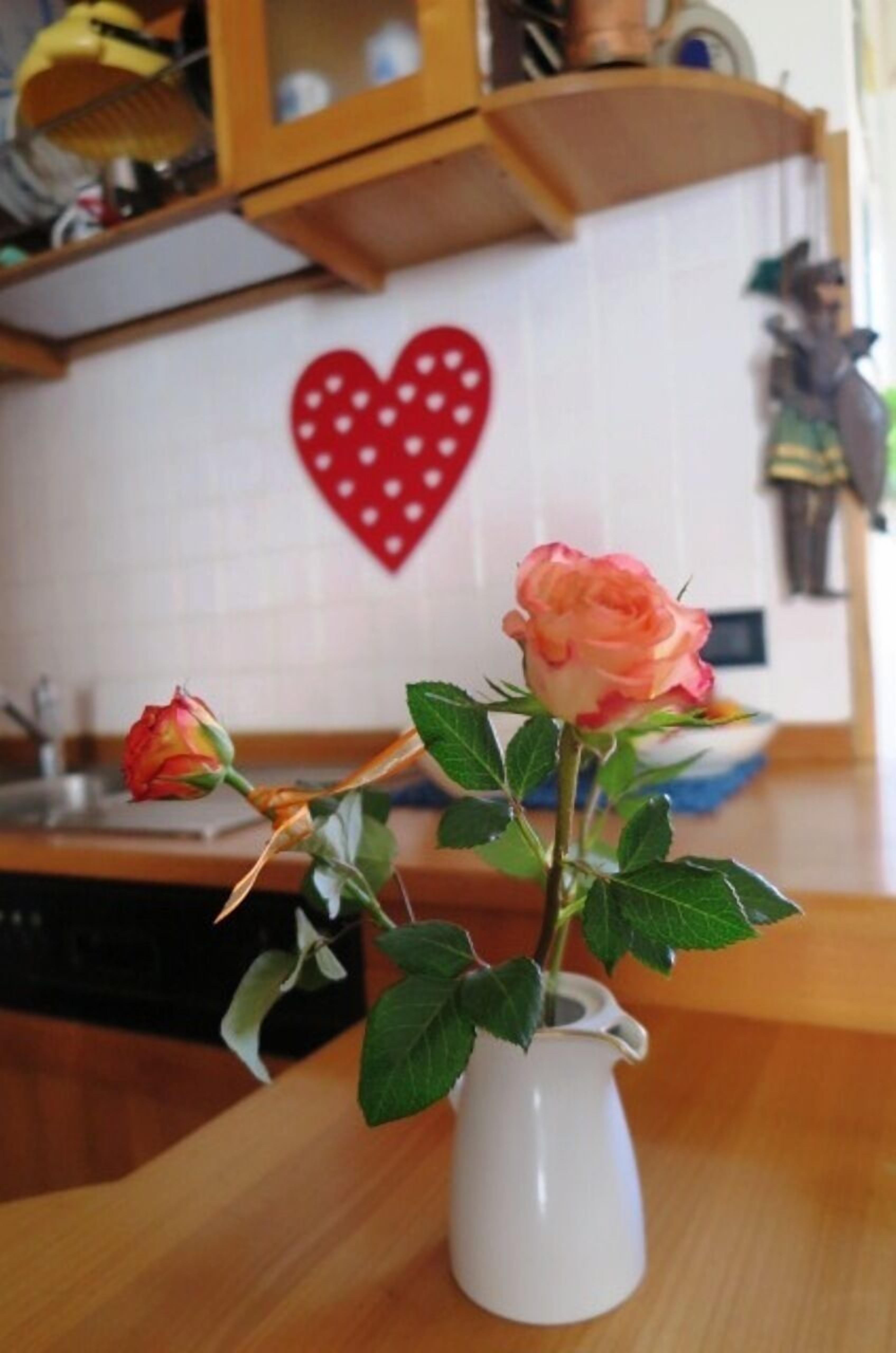 In the Venice heart, between St. Marc sq. and Biennale exposition