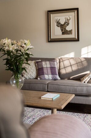 Smart TV, fireplace, books, video library