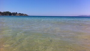 Una spiaggia con acque poco profonde e una costa lontana, punteggiata da alberi.