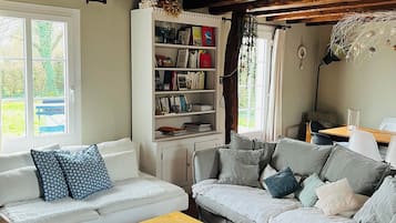 Télévision, cheminée, table de tennis de table, livres