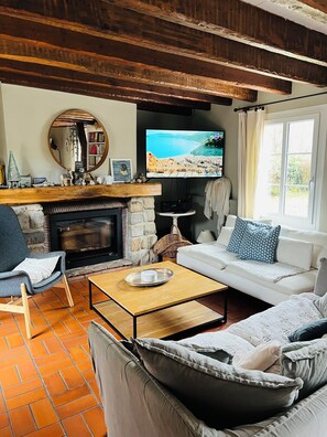 Televisión, chimenea, tenis de mesa y libros 