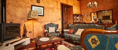 Télévision, cheminée, lecteur de DVD, livres