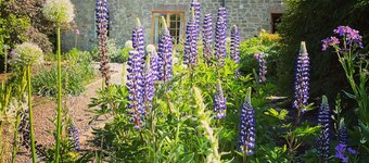 Vakre Stone Cottage - En unik Rural Retreat In The Scottish Borders
