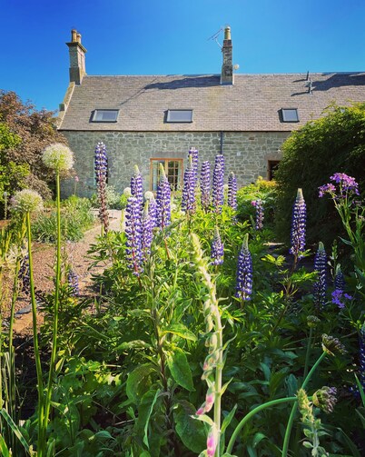 Beautiful Stone Cottage - A Unique Rural Retreat In The Scottish Borders