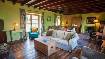 Smart TV, fireplace, DVD player, books
