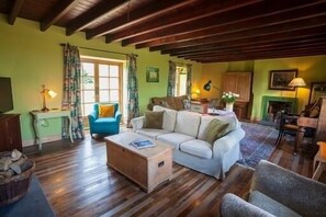 Smart TV, fireplace, DVD player, books