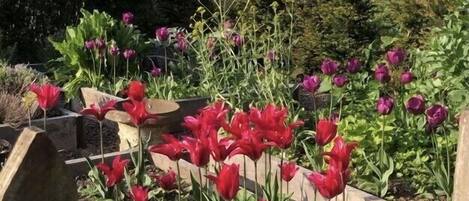 Jardines del alojamiento