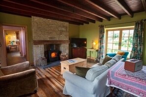 Smart TV, fireplace, DVD player, books