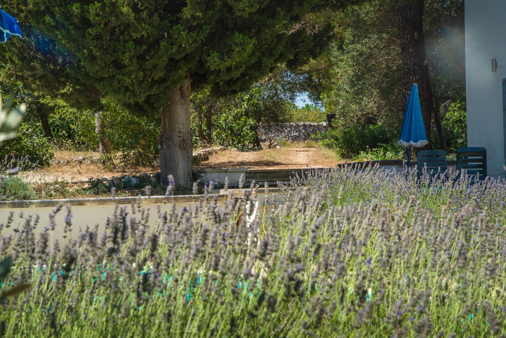 Terrein van de accommodatie