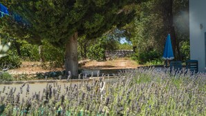 Un jardín con plantas de lavanda, un muro de piedra y un paraguas azul.