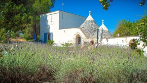 Un edificio blanco con tejado de piedra y una pequeña torre campanario, rodeado de campos de lavanda.
