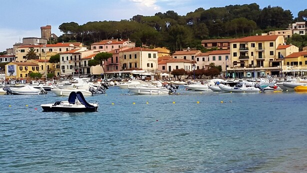A marina with various boats docked, surrounded by buildings with red roofs and a hill with trees in the background. - Franco House in the Old Town (Marina di Campo)