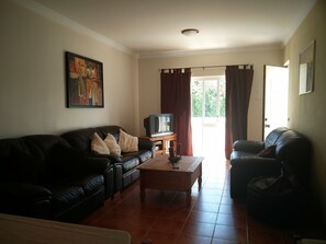 Smart TV, books, video library