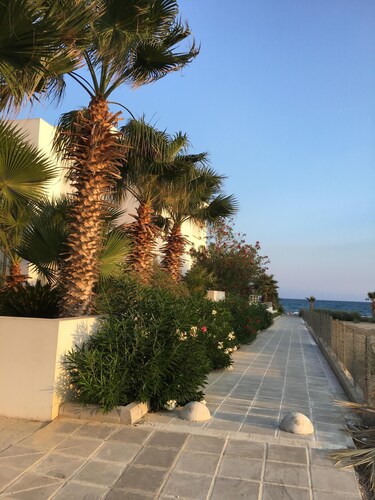 3 minuutin kävelymatkan päässä rannalta            