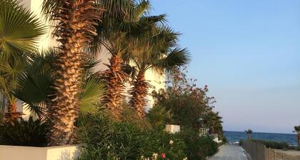 3 minuutin kävelymatkan päässä rannalta