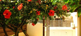 ビーチまで徒歩3分            