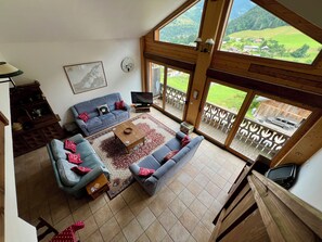 Smart TV, DVD player, books, video library