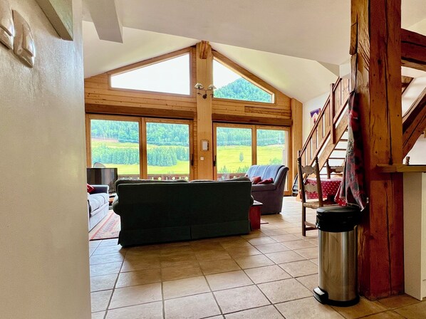 Smart TV, DVD player, books, video library