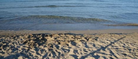Playa en los alrededores y camastros