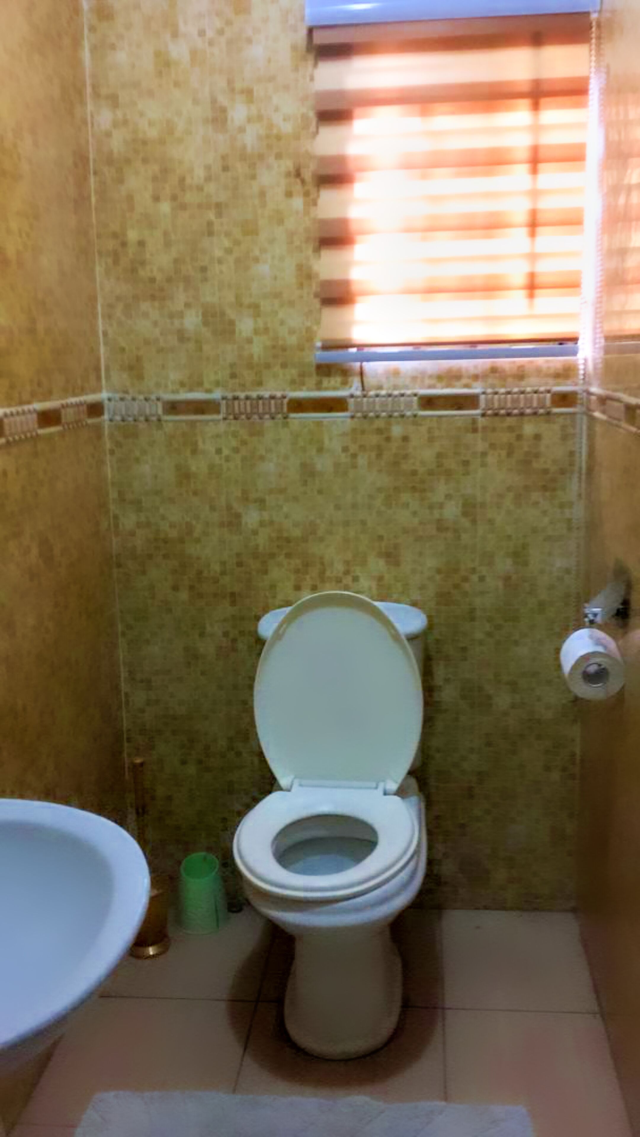 A bathroom with a toilet, a sink, and a window with blinds.