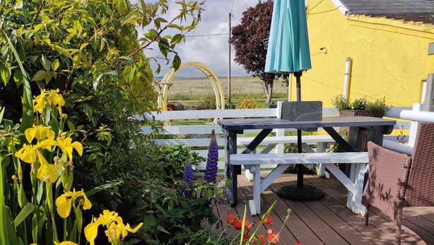 A wooden deck with a table and chairs, surrounded by various flowers and greenery. - Traditional Stone Cottage (Ammanford)
