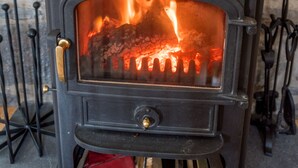 En vedeldad kamin med en glaslucka, placerad framför en stenmur.