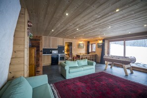 TV, fireplace, DVD player, table football - Nature Ski  Lodge Sterwen 16pers Sauna  Weekends Skibus Arc 1600 (Landry)