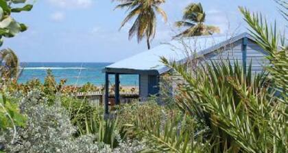 Bungalove
The garden, the beach. What else ?