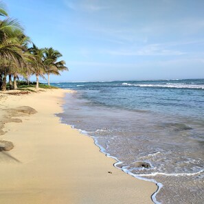 On the beach, sun-loungers, beach towels