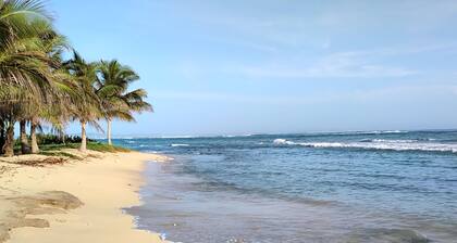 Bungalove
The garden, the beach. What else ?