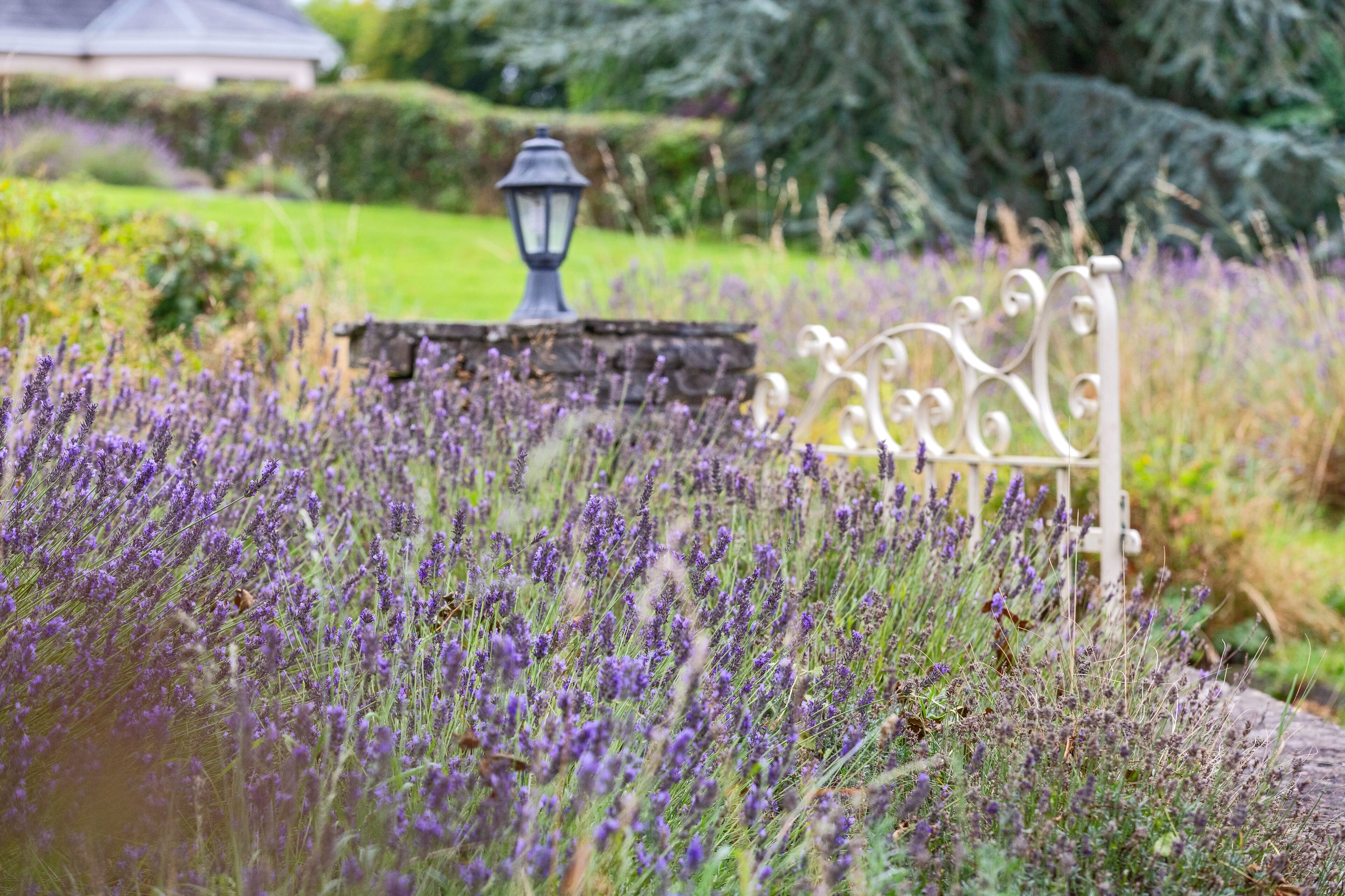 Áreas de la propiedad