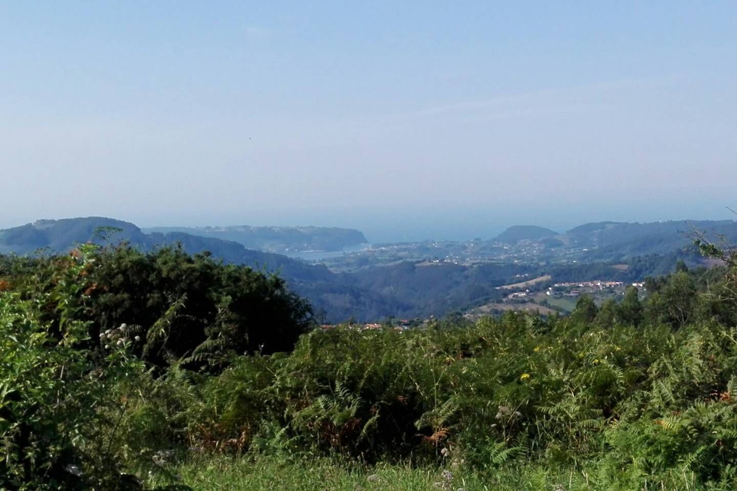 Vista panorámica de un paisaje montañoso con vegetación densa en primer plano y colinas distantes.